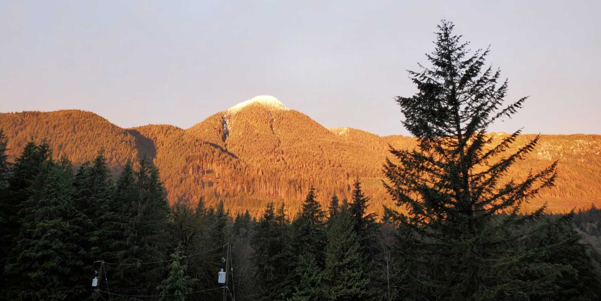 Announcements Twin Creeks RV Resort