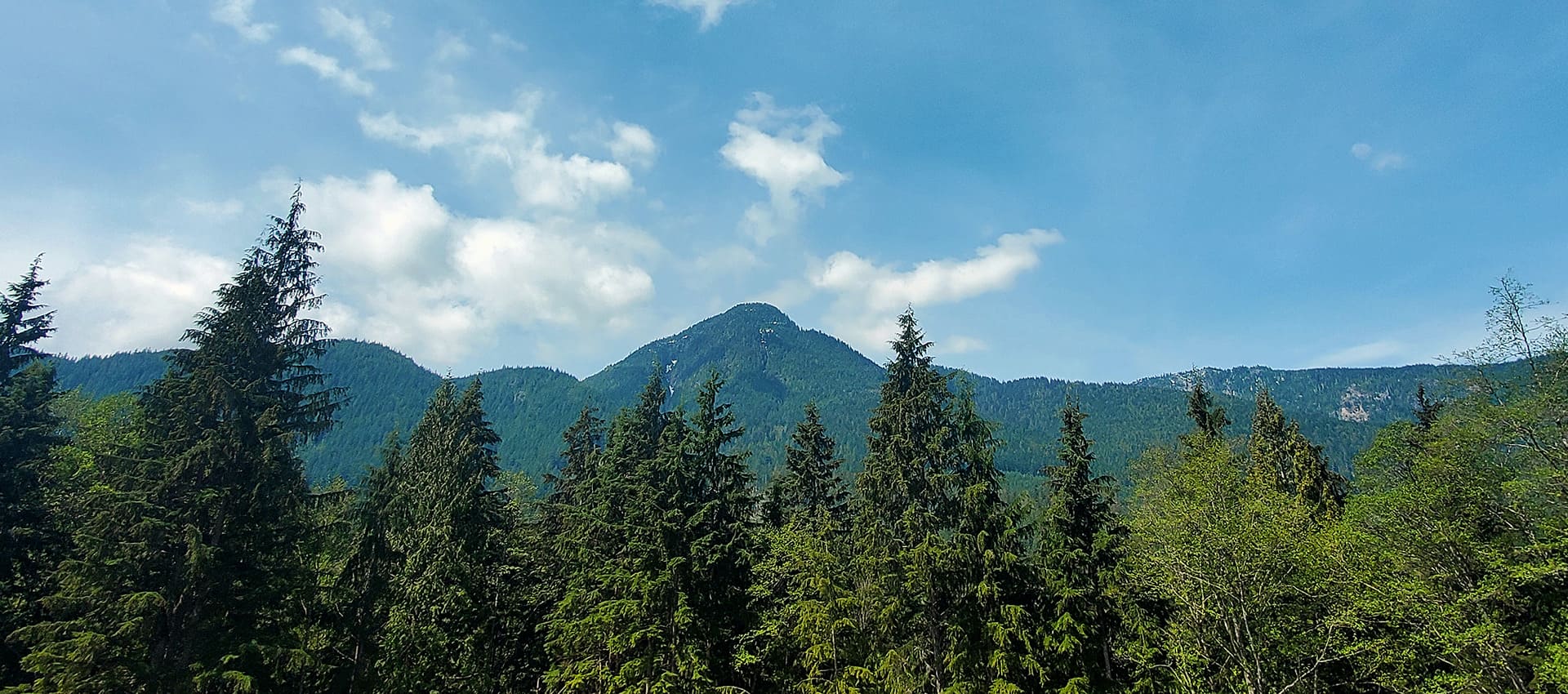 Home Twin Creeks RV Resort