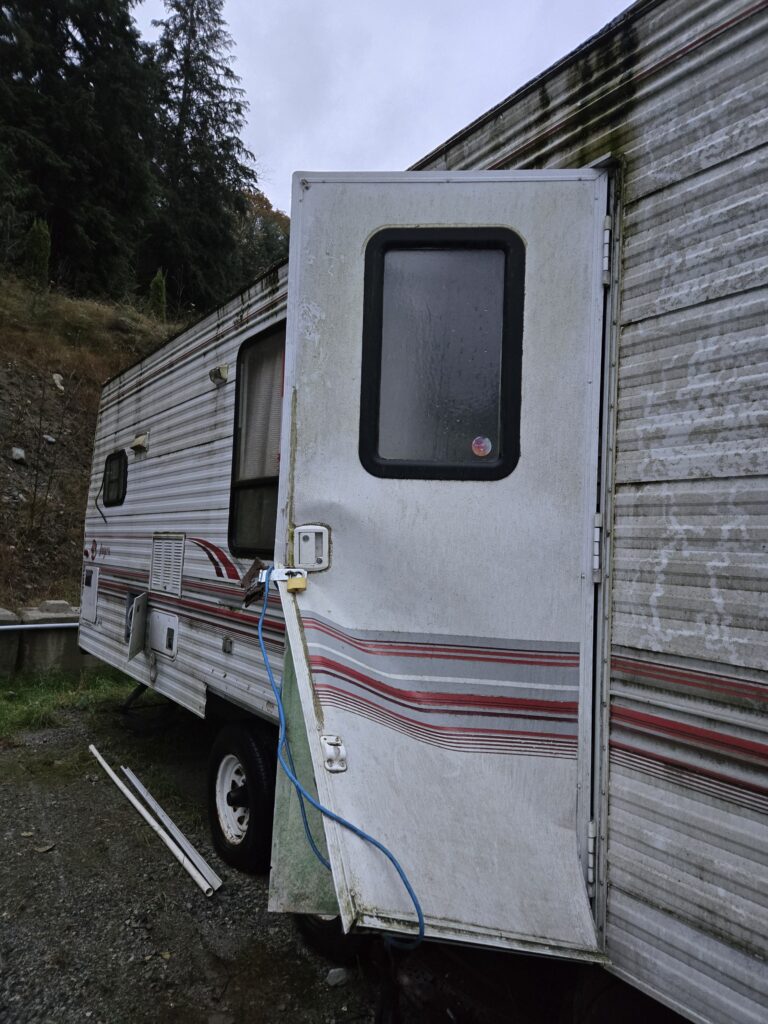 20251025 074533 Bear on Site