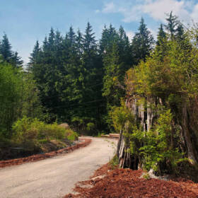 Twin Creeks RV Resort entrance